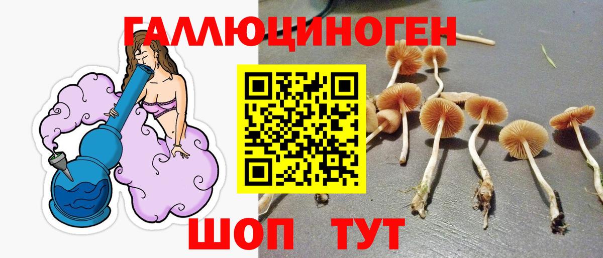 Кудымкар  Галлюциногенные грибы Psilocybine cubensis  Вход с VPN 