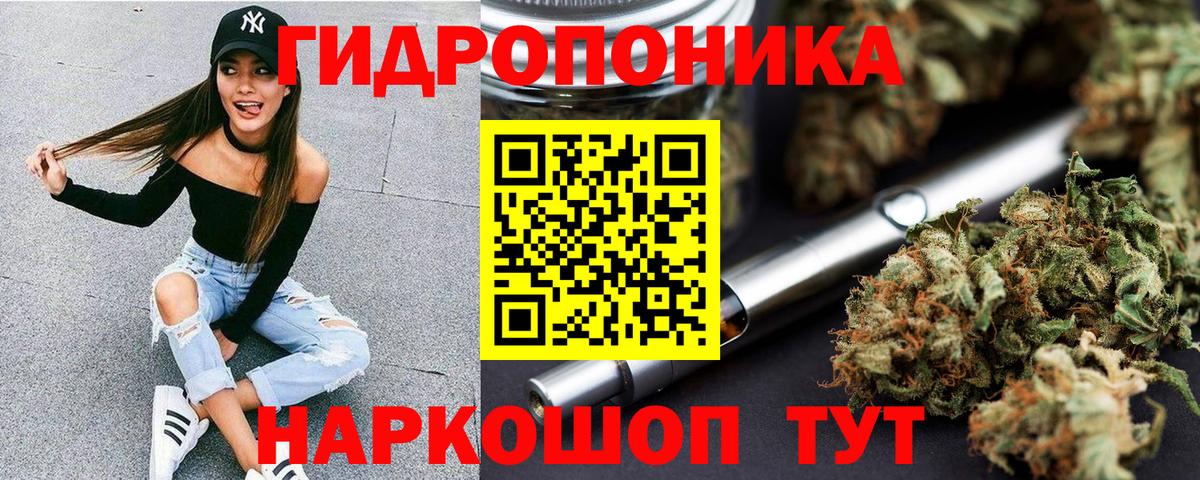 Бошки Шишки план  Шишки марихуана VHQ  МАРИХУАНА сатива  Кудымкар  Вход с VPN  МАРИХУАНА сатива 